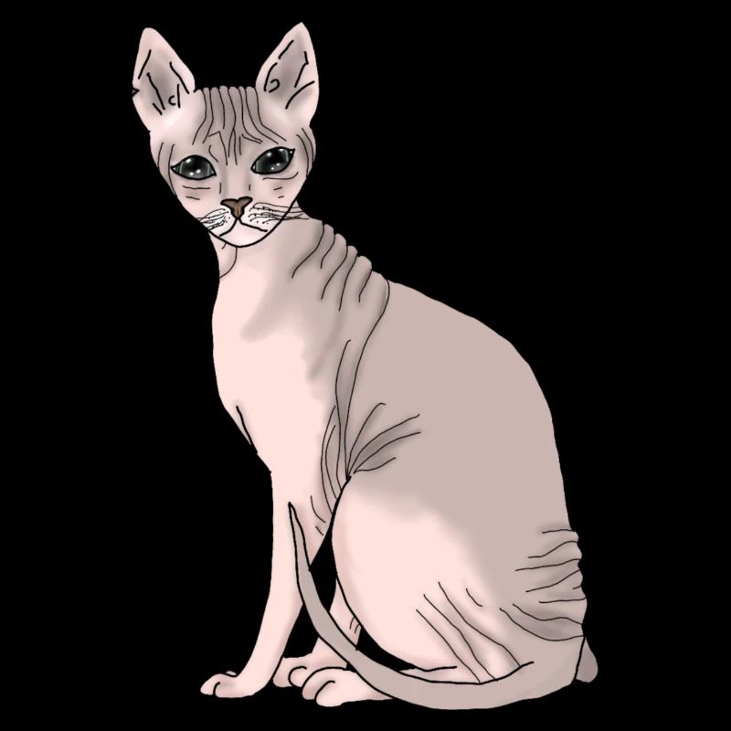 Sphynx
