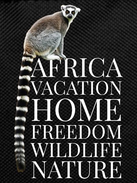 Africa Lemur Monkey Gift Children