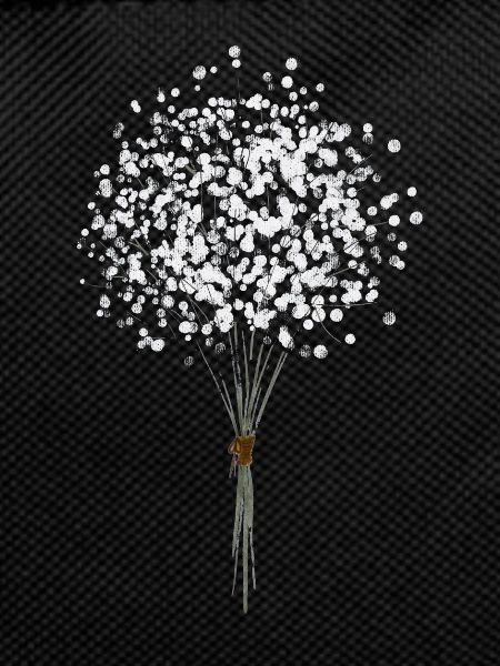 Fleur Pusteblume