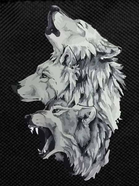 Three wolves