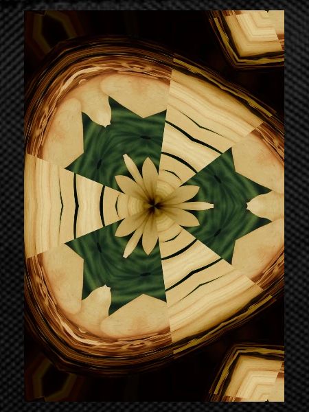 Woody Flower
