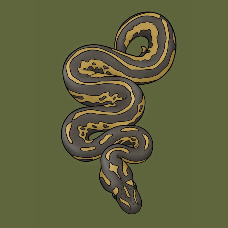 Python/Schlange