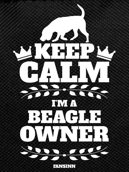 cool Beagle British dog