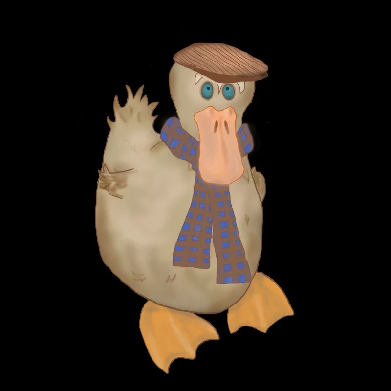 Running duck, Laufente mit Schal, Enten Pulli