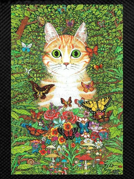 Hidden Cat