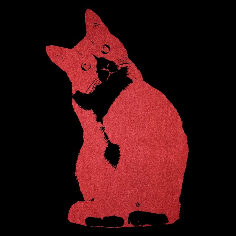 Chat rouge