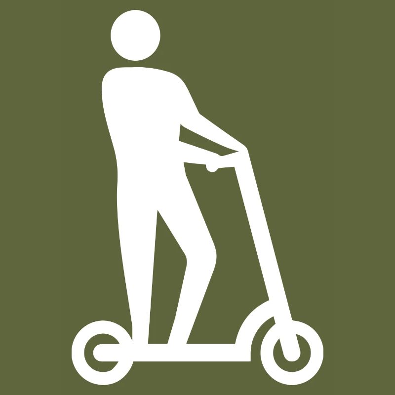 E-Scooter E-Roller Scooter