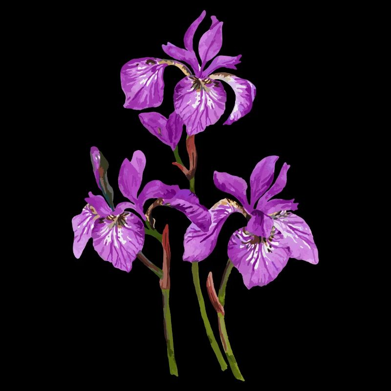 Blumen
