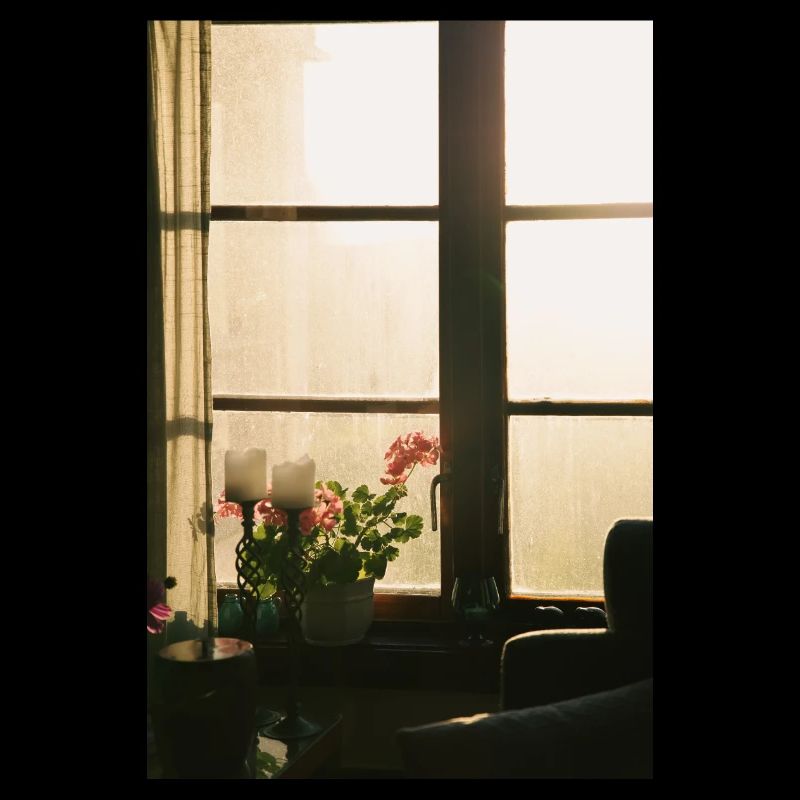 sunlight