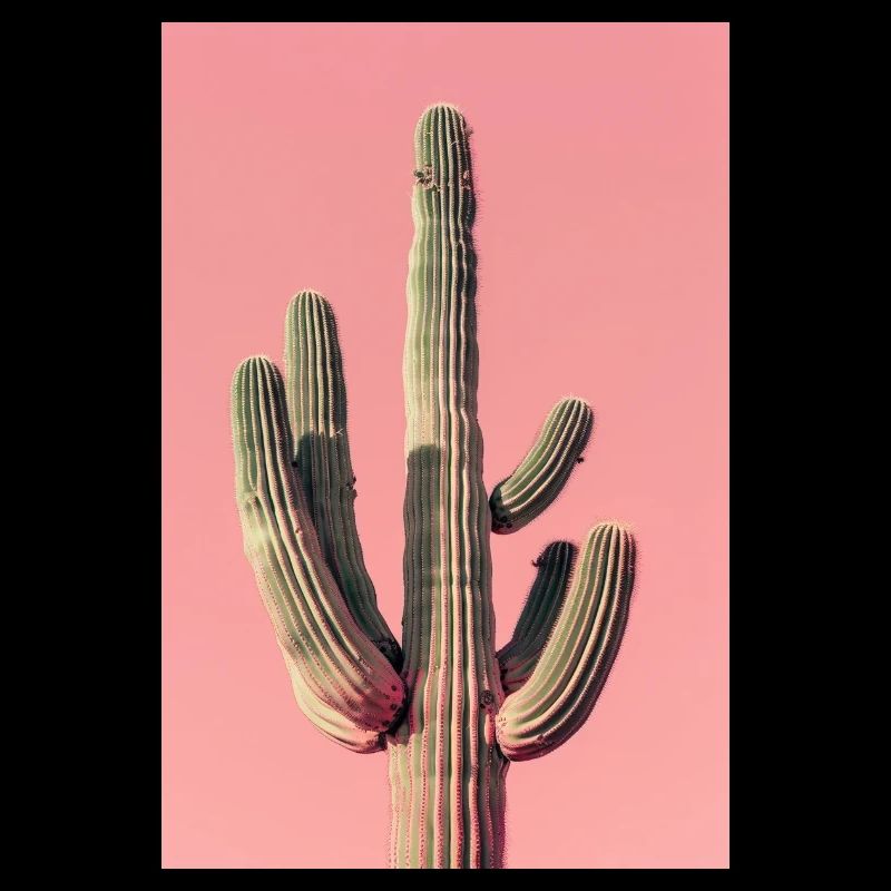 Large Cactus | AI