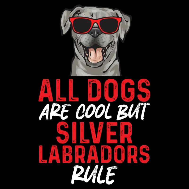 Silver Labrador Retriever Silver Lab