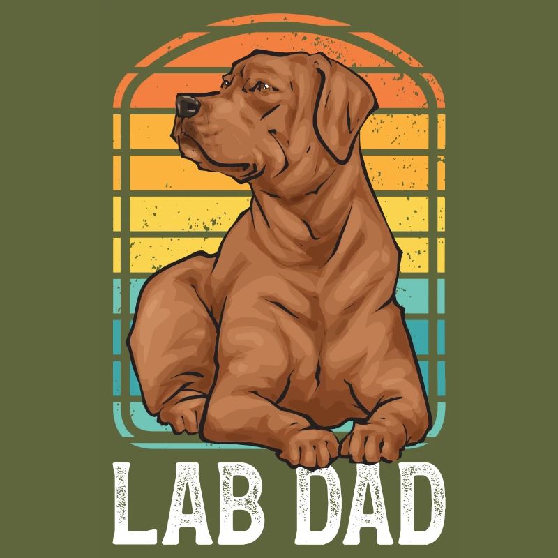 Fuchsroter Labrador Retriever Fox Red Labrador