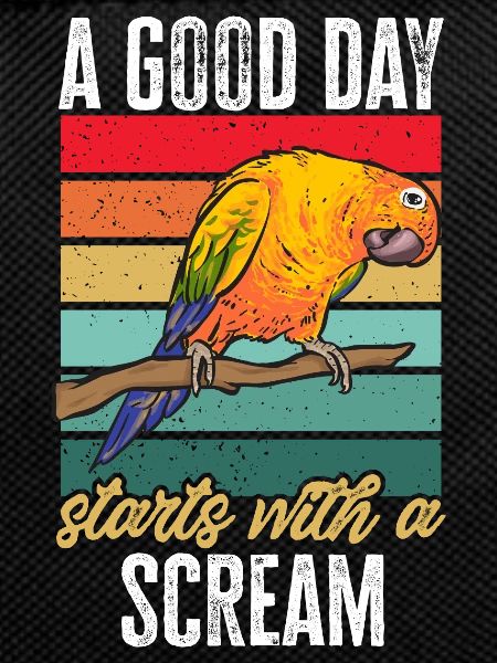 Parakeet, Parrot, Parakeet, Bird