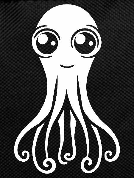 Squid