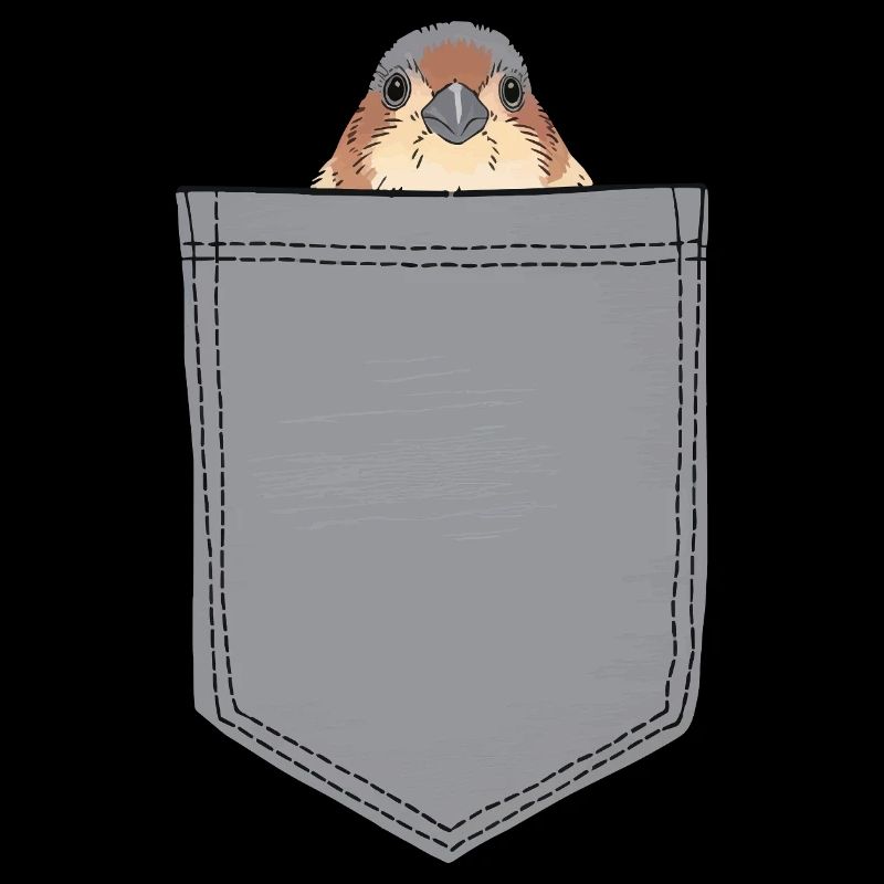 Finch Bird