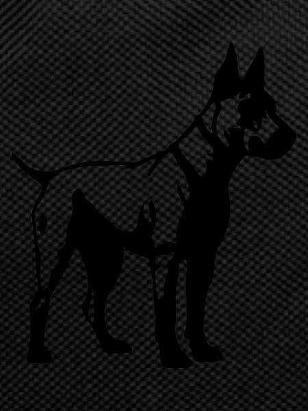 Bull Terrier Dog