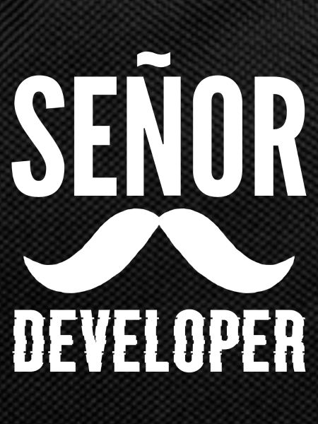 Senor-Entwickler Programmierer Gift