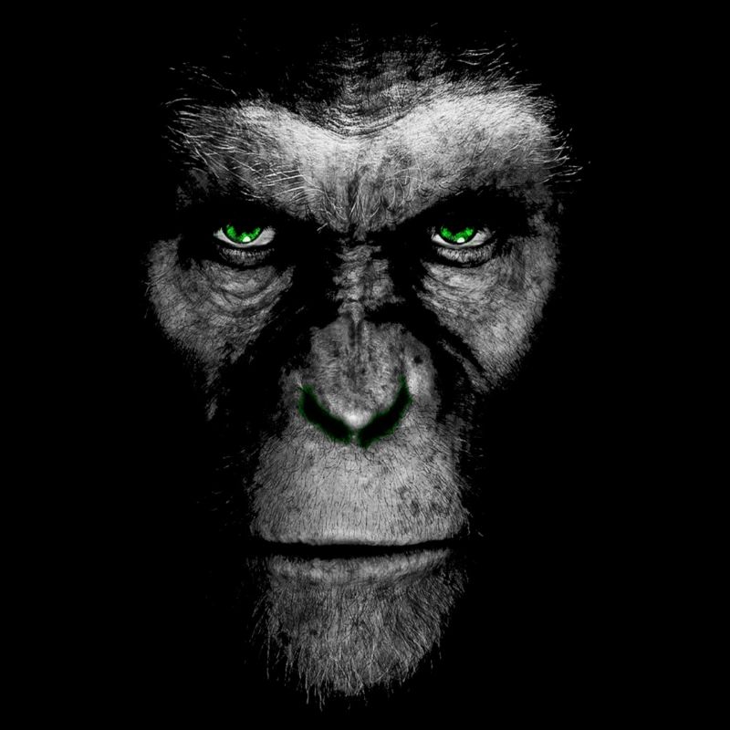 AAP green eyes