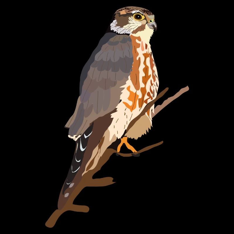 Merlin