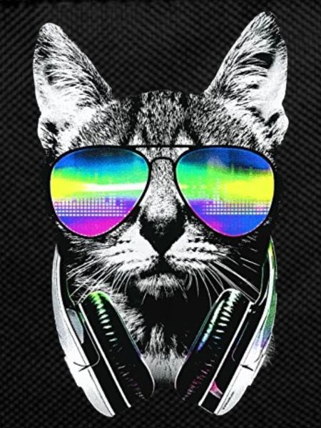 Cool cat