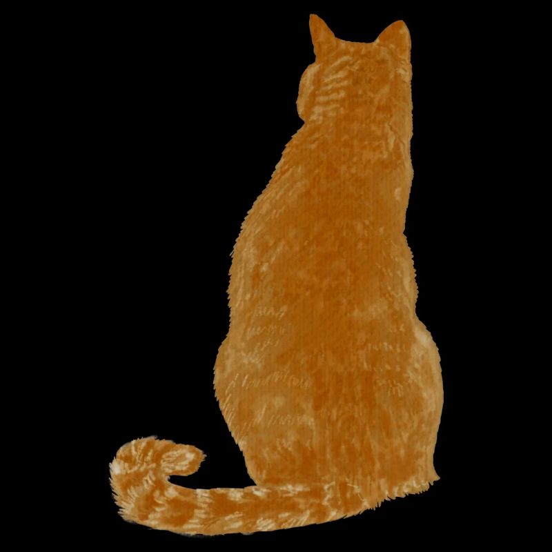 Chat blond