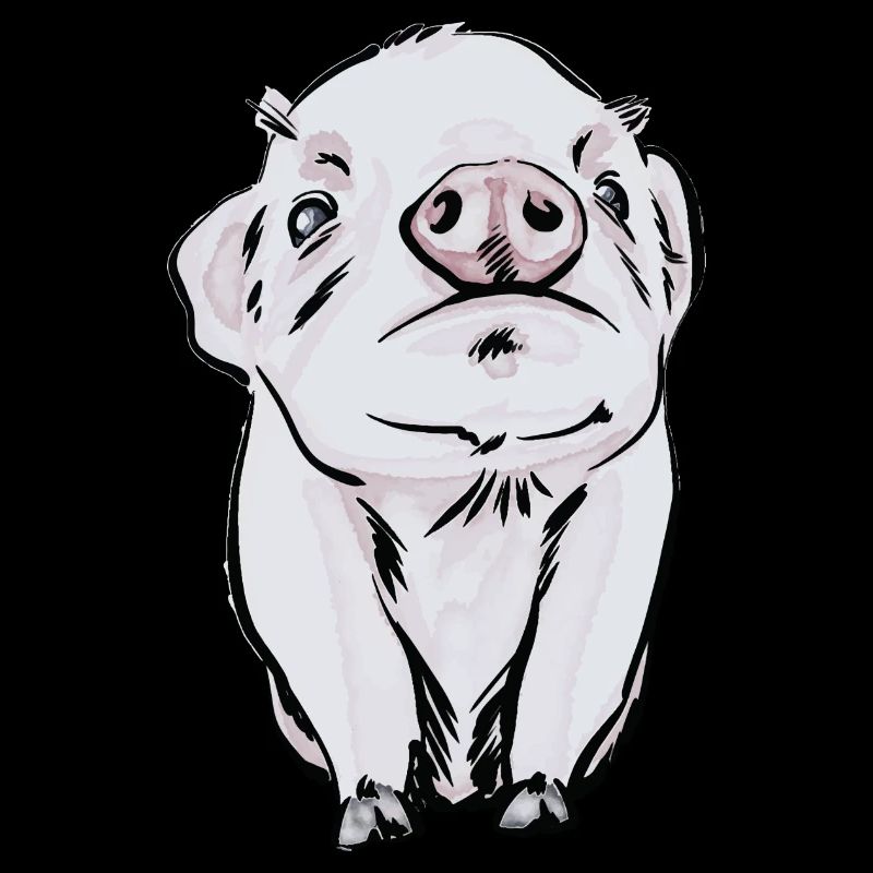 Baby pig