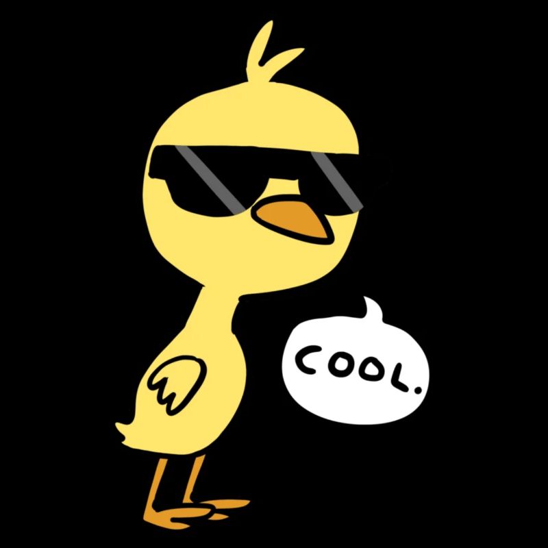 Cool Chick