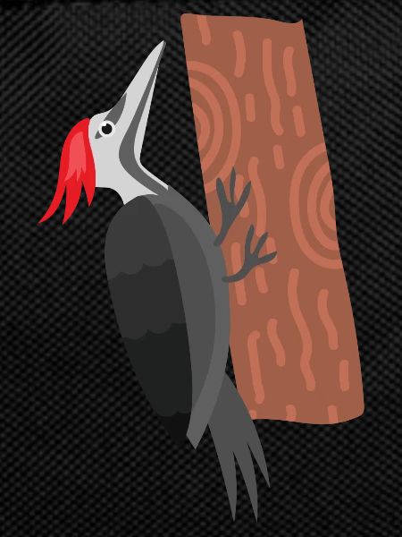 Woodpecker