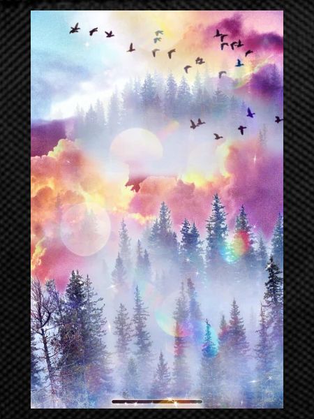 Fantasy Land