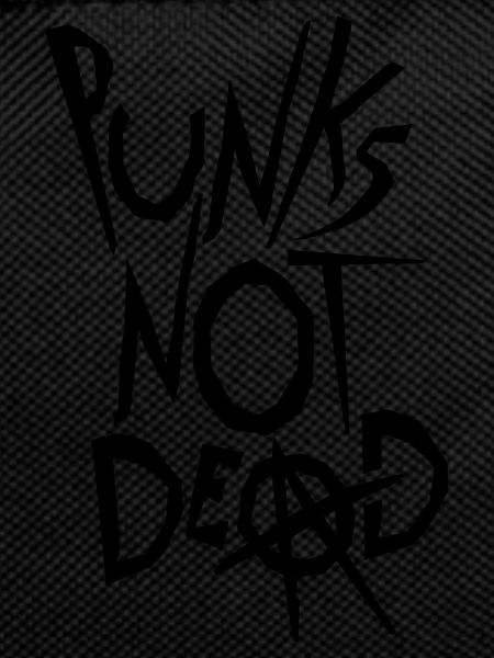 punks not dead quote