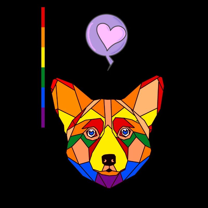 Corgi raimbow
