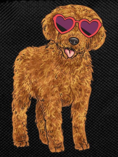 Labradoodle Dog