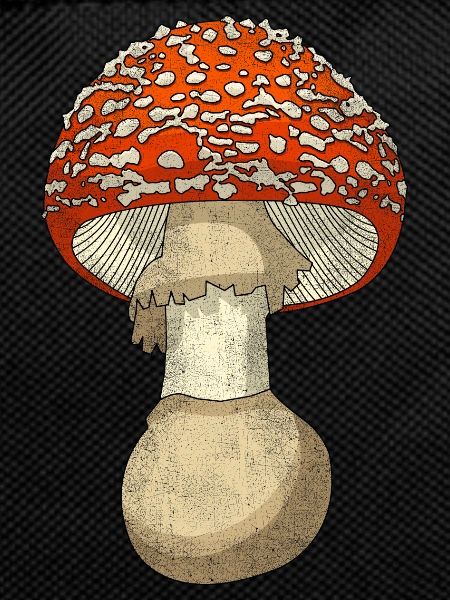 Mushroom