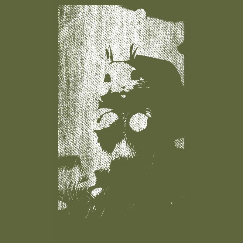 Easter Rabbit Rabbit Easter