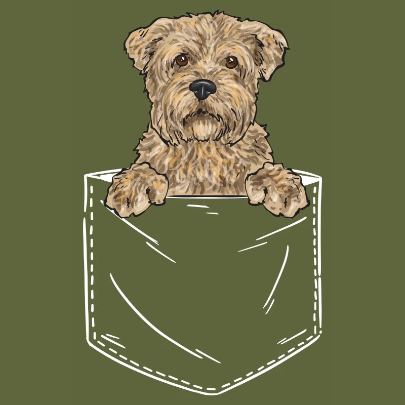 Cairn Terrier Dog