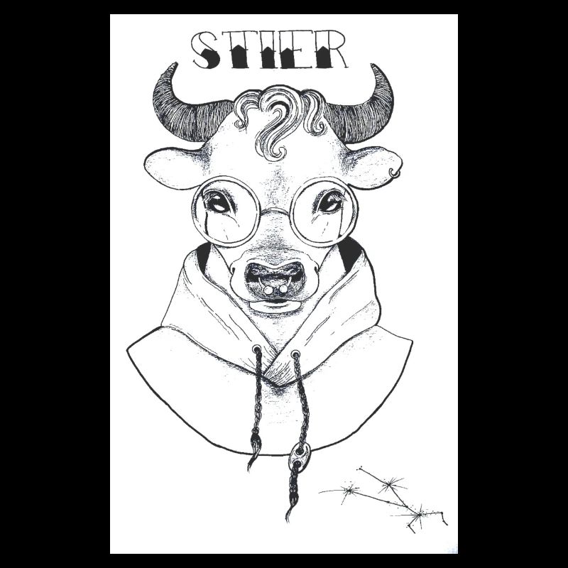 Stier