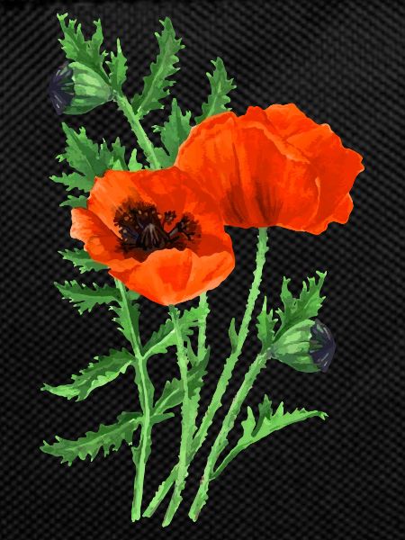 Fleur