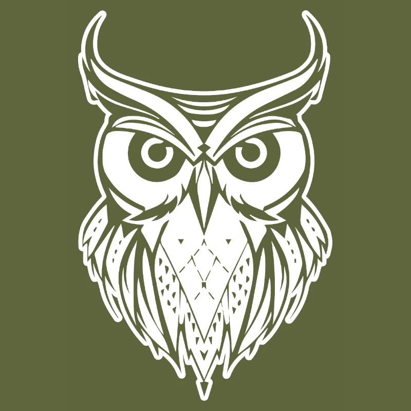 Eule Eulen Vogel Vögel