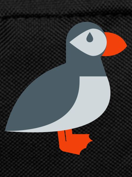 Puffin bird