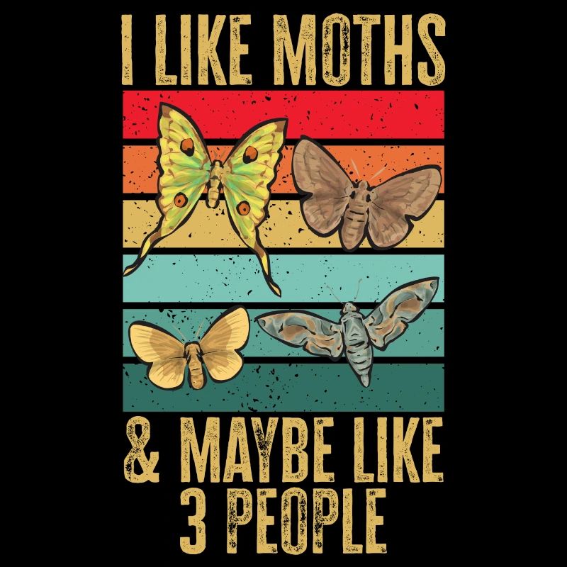 Moths Insect Collector Entomologist