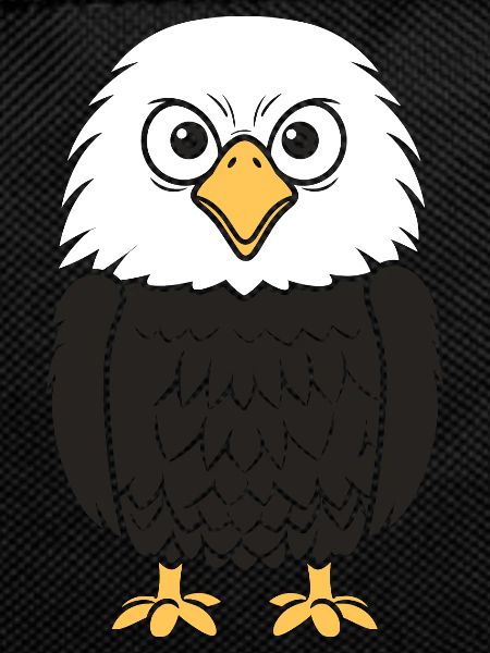 Eagle Bird