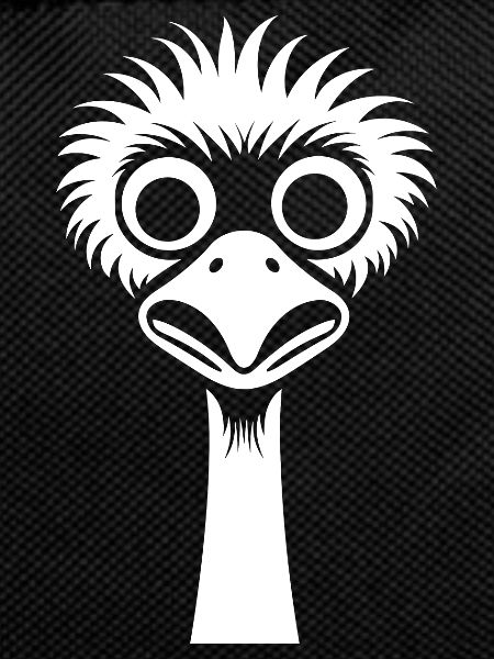 ostrich