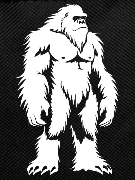 Yeti