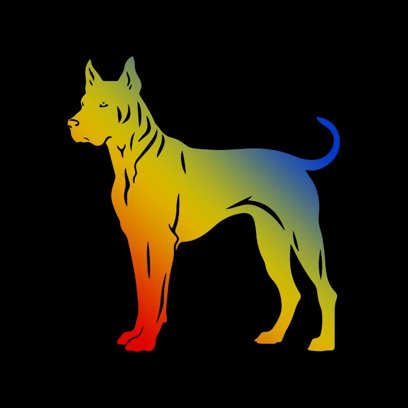 Chien Dogue Argentin