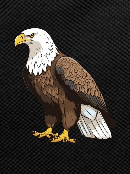 Eagle Animal