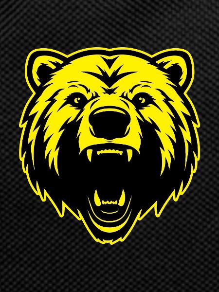 Bear Animal Portrait
