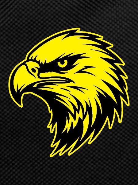 Eagle Animal Portrait