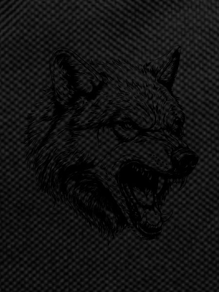 Wolf Animal Portrait