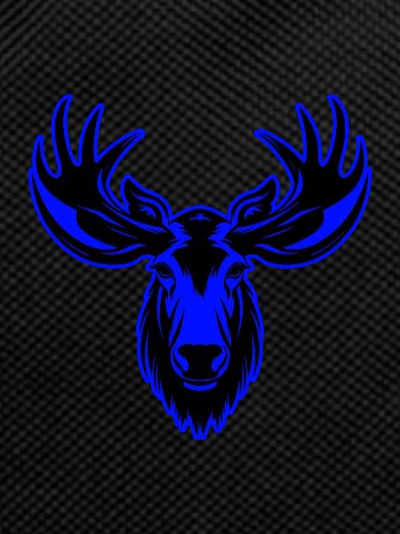 Moose Animal Portrait