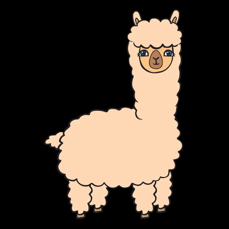 alpaca